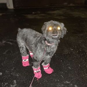 Meet your Posher, Hunter